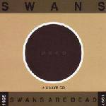 Swans Are Dead